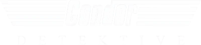 Detektei Condor Kontakt